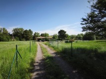 Foto2