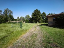 Foto12