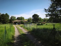 Foto6