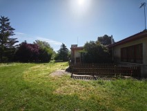 Foto8