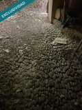 Foto10