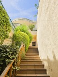 Foto33
