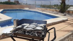 Foto6