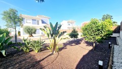 Foto8