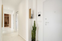 Foto31