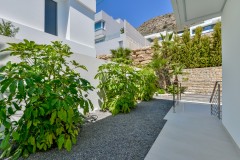 Foto41