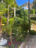 Foto8