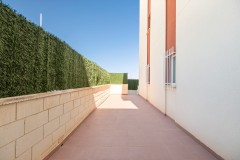 Foto7