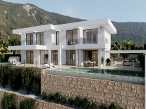 Foto1