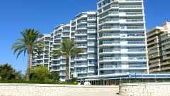 Foto8