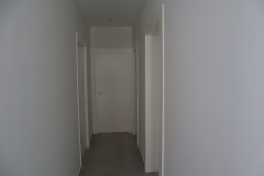 Foto8