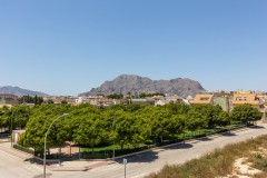 Foto53
