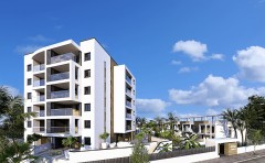 Foto5