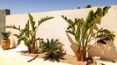 Foto43