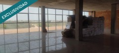 Foto1