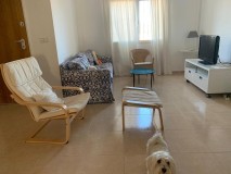 Foto5
