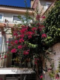 Foto34