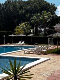 Foto31