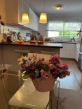 Foto15