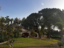 Foto43