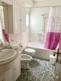 Foto8