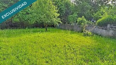 Foto39