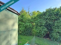 Foto23