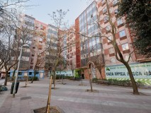 Foto42