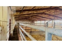Foto9