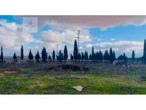 Foto4