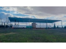 Foto11