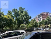 Foto5