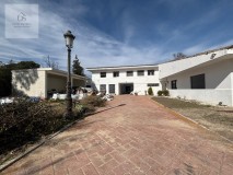 Foto8