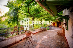 Foto45