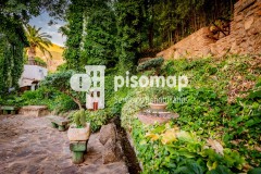 Foto51