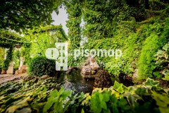 Foto53