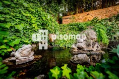 Foto56