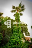 Foto59