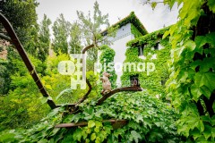 Foto82