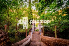 Foto9