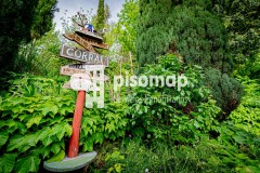 Foto93