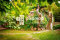 Foto49
