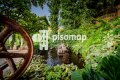 Foto52