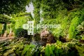 Foto53