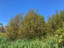 Foto11