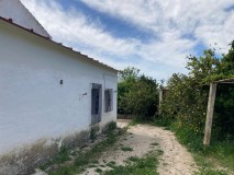 Foto15