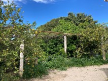 Foto3