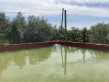 Foto5