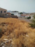 Foto1