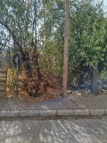 Foto3